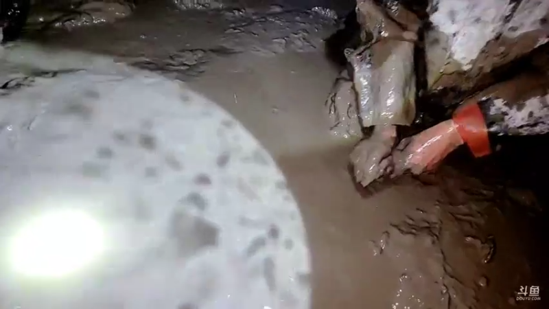 【2021-12-12 19点场】洪湖小肖：那一年  那一天  我们都在进步