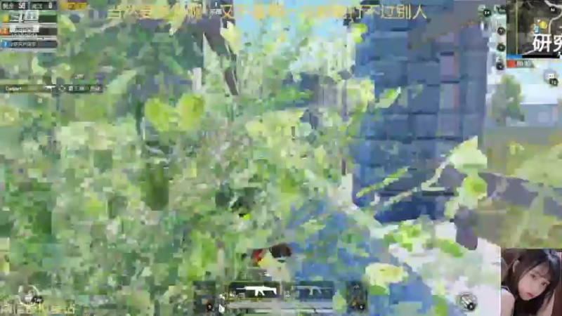 【2021-12-13 04点场】图妹半生：一笑相逢蓬海路，人间风月如尘土