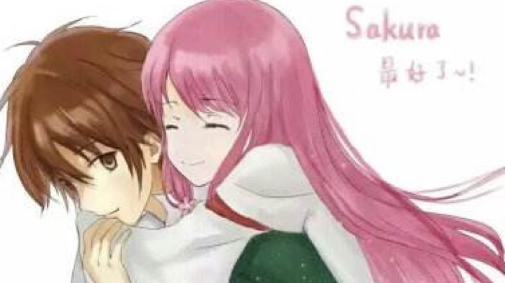 最后的象龟乔治