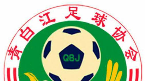 聚神玻纤VS丹翔电器（半决赛）