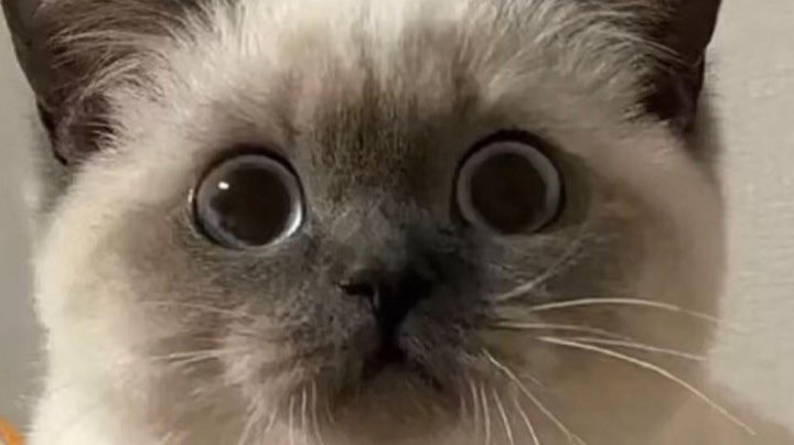 11111