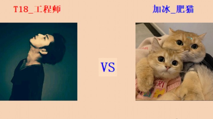 擂台竞技场 第5季 工程师 vs 肥猫 循进级连段擂台赛（1）