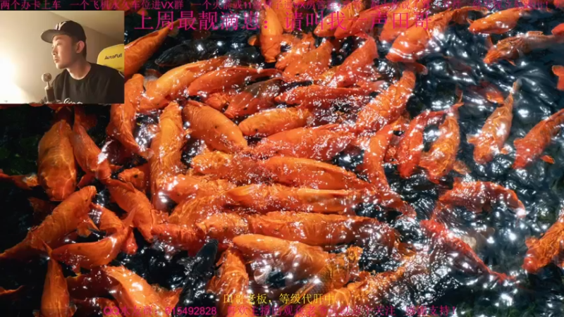 【2021-12-12 16点场】主播世贤：两字概括更新后的突破模式进攻方：乌拉~