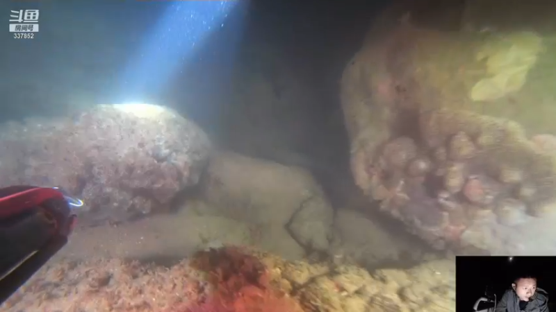 【2021-12-12 23点场】洪湖小肖：今晚海底直播