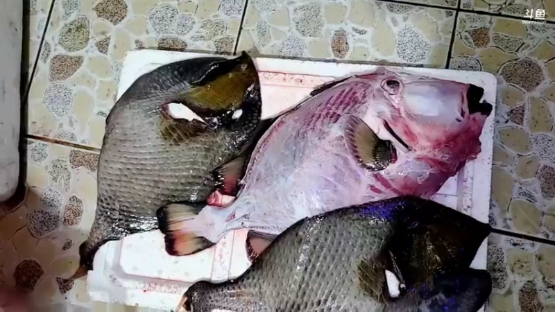 【2021-12-13 01点场】洪湖小肖：今晚海底直播