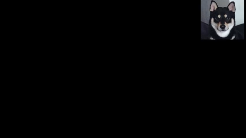 【2021-12-12 07点场】平平无奇安澜君：早起看比赛