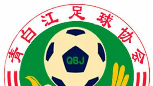 丹翔电器VS仁安药业（小组赛）