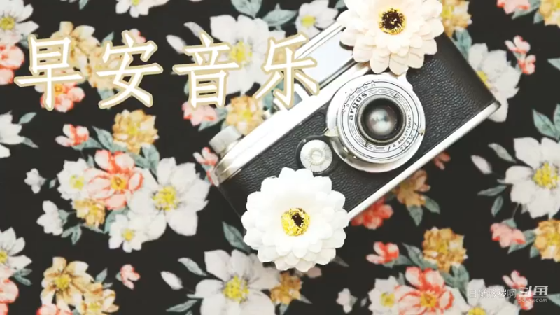 早上最适合听的轻音乐 放松解压 - 纯钢琴轻音乐 - 绝美的静心放松音乐 - 放松音乐 ★5