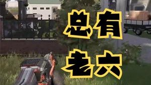 总有老六想偷我，哼