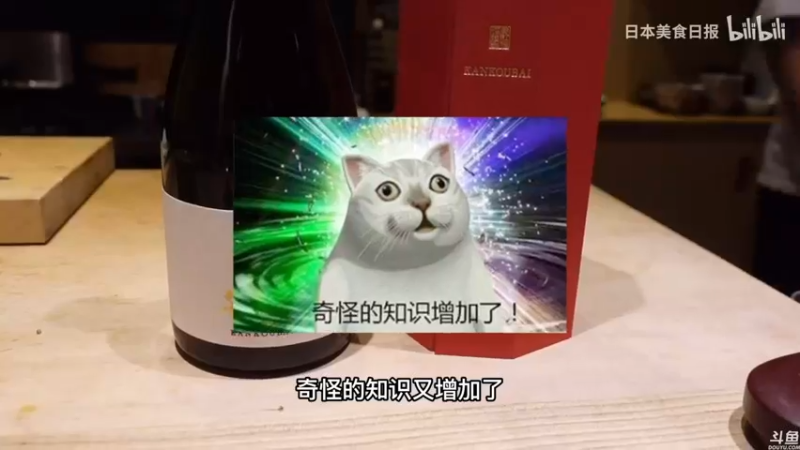 【2021-12-13 00点场】猫叔灬灬：【猫叔】光环大结局 额还有血缘~~~