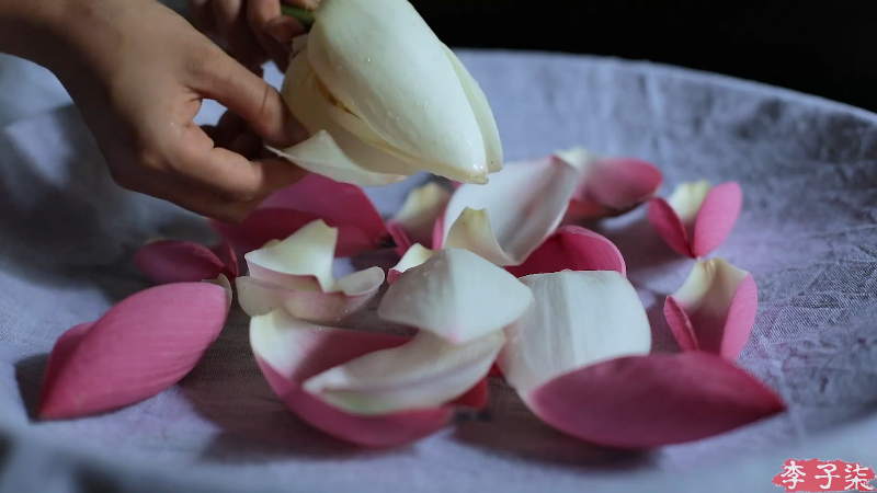 【美食】李子柒liziqi的精彩时刻 20211213 16点场