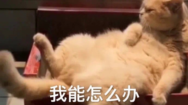 菜就算了还送