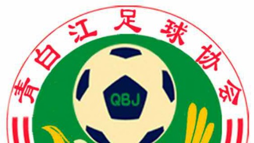 丹翔电器VS米高化工（感恩杯三四名决赛）