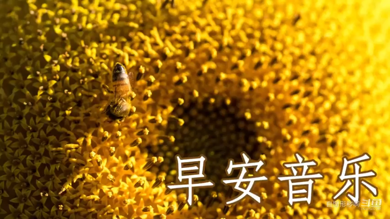 早上最适合听的轻音乐 放松解压 - 纯钢琴轻音乐 - 绝美的静心放松音乐 - 放松音乐 ★6