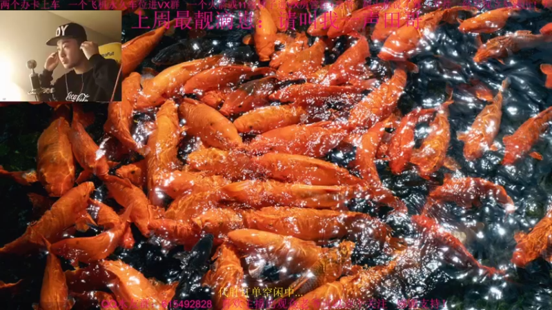 【2021-12-12 19点场】主播世贤：两字概括更新后的突破模式进攻方：乌拉~