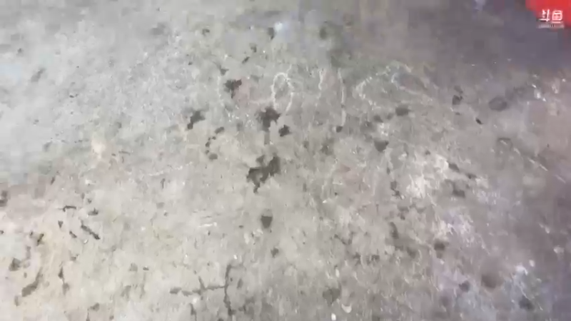 【2021-12-13 09点场】魅力生活i：欢快的一天开始啦