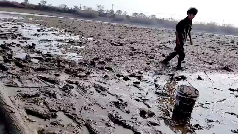 【2021-12-13 13点场】洪湖小肖：今晚海底直播