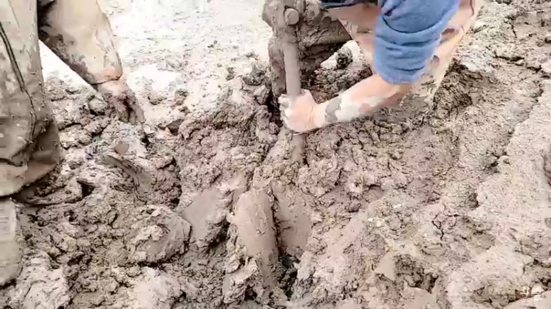 【2021-12-14 13点场】洪湖小肖：今晚海底直播