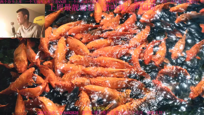 【2021-12-13 15点场】主播世贤：两字概括更新后的突破模式进攻方：乌拉~