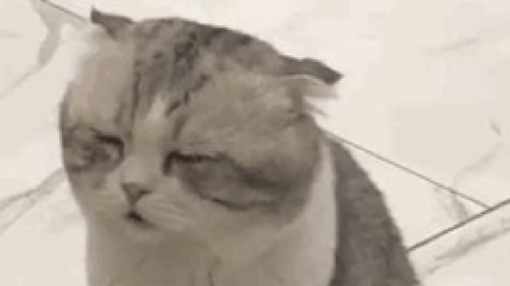fff