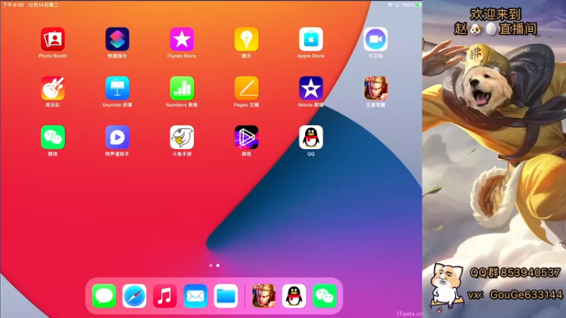 【2021-12-14 20点场】荣耀英雄宋人头：新主播 不求关注