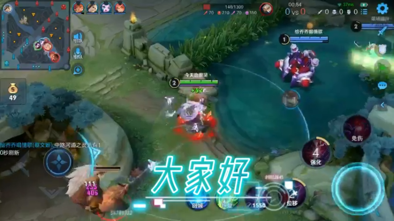 大家好，我是最强芈月乌鸦云.MOV
