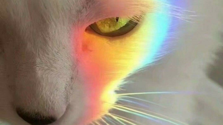 排位赛