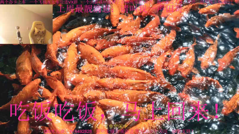 【2021-12-13 20点场】主播世贤：两字概括更新后的突破模式进攻方：乌拉~