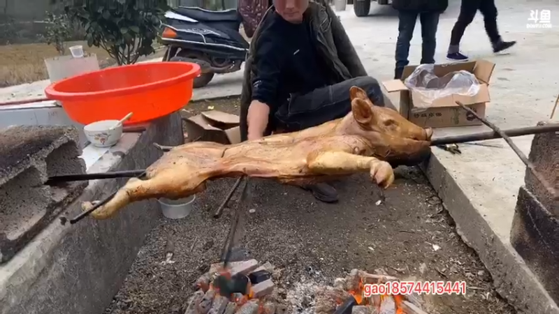 【2021-12-14 16点场】魅力生活i：开心快乐的一天开始啦