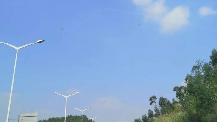 小主播，菜鸟主播，