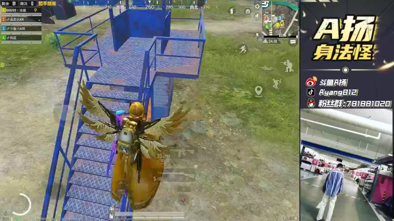 【2021-12-13 23点场】A扬丷：《4LOGO海岛猛冲》