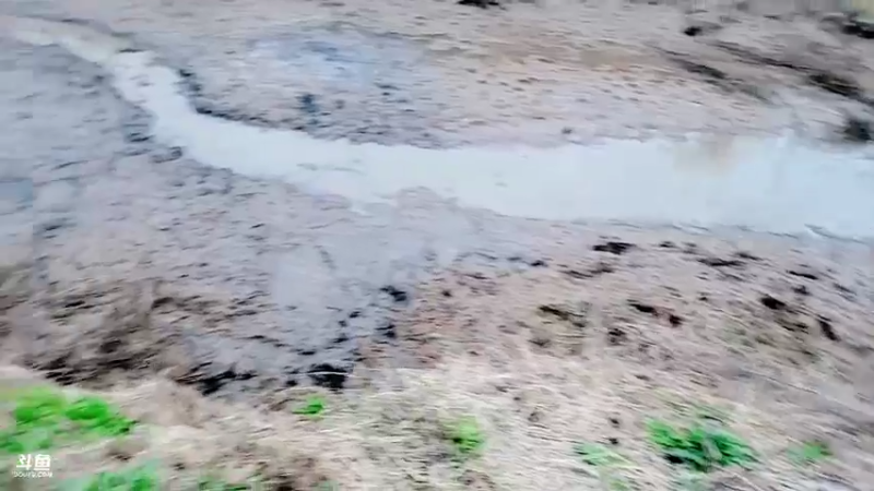 【2021-12-14 17点场】洪湖小肖：今晚海底直播