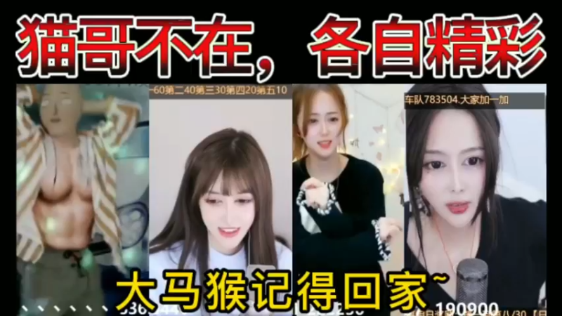 猫哥不在，各自精彩，大马猴们记得回家