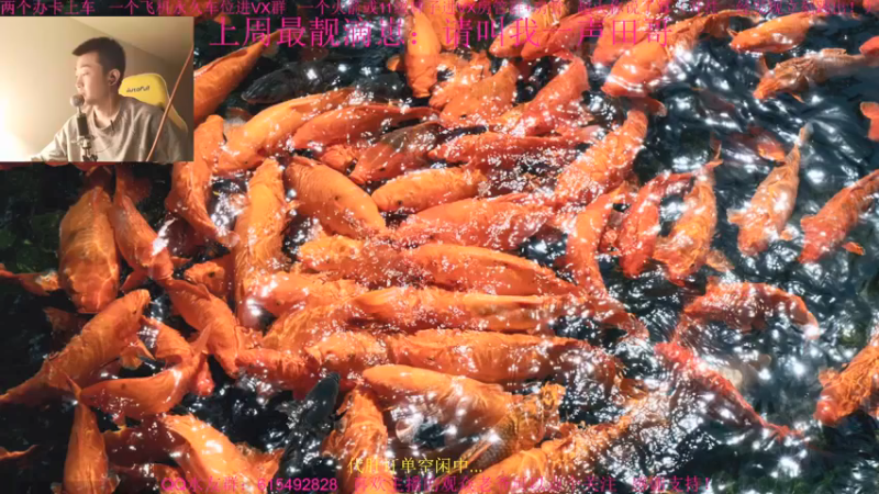 【2021-12-13 16点场】主播世贤：两字概括更新后的突破模式进攻方：乌拉~