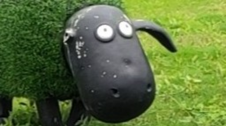 。。。。