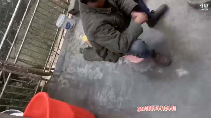 【2021-12-14 12点场】魅力生活i：开心快乐的一天开始啦