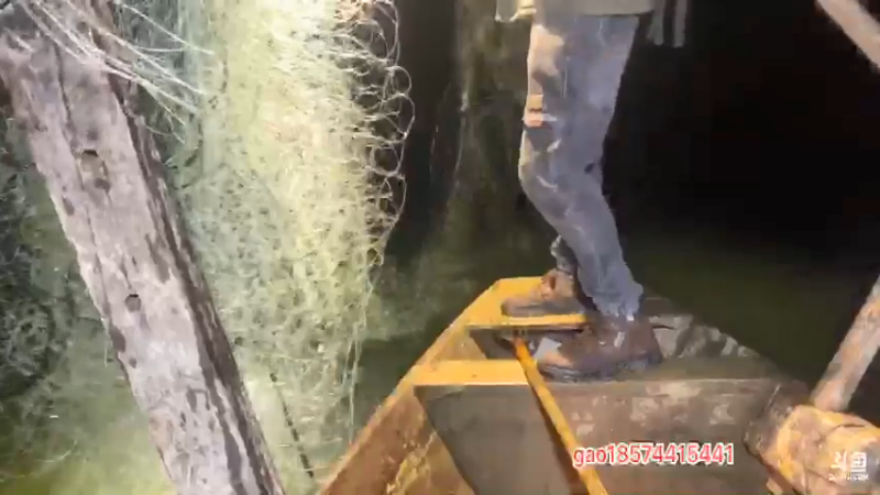 【2021-12-14 21点场】魅力生活i：水库大鲫鱼大老黑