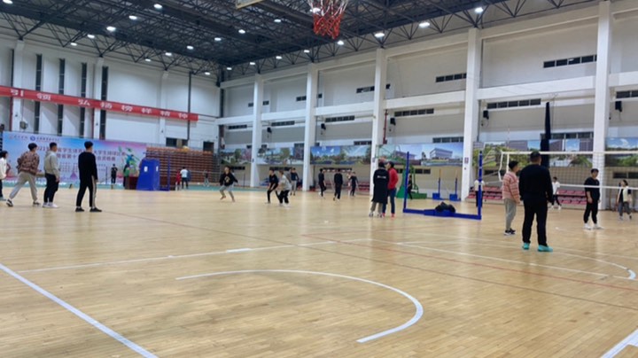 排球