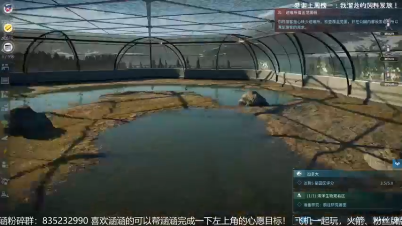 【2021-12-14 23点场】涵涵涵涵大涵涵：小恐龙！涵涵来啦！