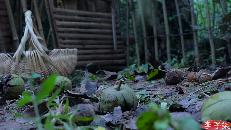 【美食】李子柒liziqi的精彩时刻 20211215 21点场