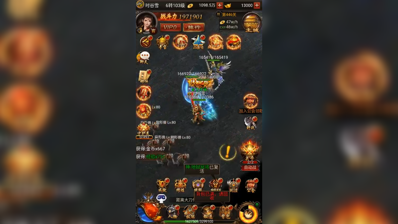 蓝月 (631)