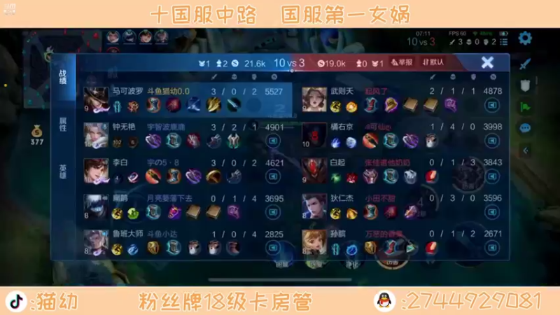 【2021-12-15 14点场】猫幼zzz：静心静心静心