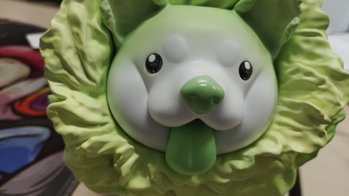 竞速五排！