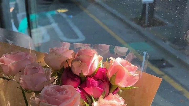 新人报道