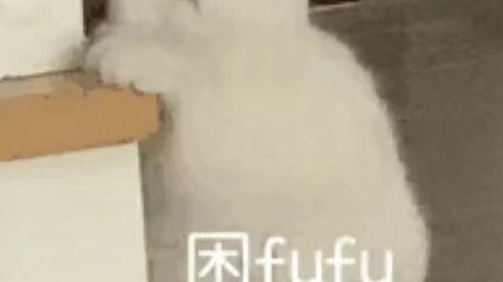 录播01