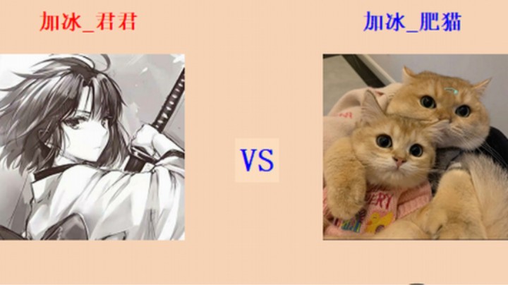 擂台竞技场 第5季 君君 vs 肥猫 入门级班段测评赛