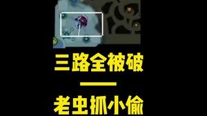 三路被破 老虫抓小偷