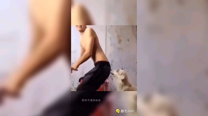 视频