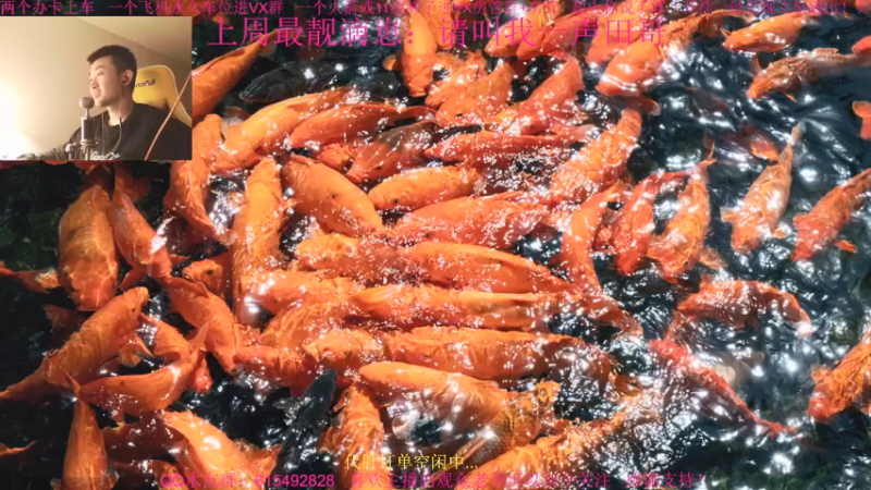 【2021-12-15 15点场】主播世贤：今天打步战~
