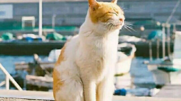 剑圣